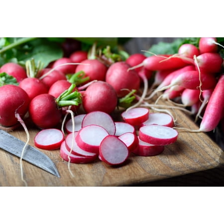 500 Seeds CHAMPION RADISH Sweet Scarlet Red Raphanus Sativus Root Vegetable Seeds
