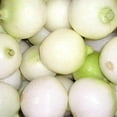 thumbnail image 1 of 500 *Seeds Crystal White WAX PEARL ONION Allium Cepa Vegetable Seeds, 1 of 2