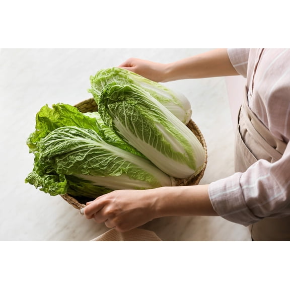 500 Seeds MICHIHILI CABBAGE Chinese Bok Choy Pak Choi Celery Mustard Chard Brassica Vegetable Seeds