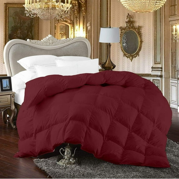 500-TC Egyptian Cotton All Season Comforter for Adults Alaskan King Size 120" x 132" Inches, 1pc Comforter Box Stitched with 4 Corner Tabs, 300 GSM Comforter, (Wine)