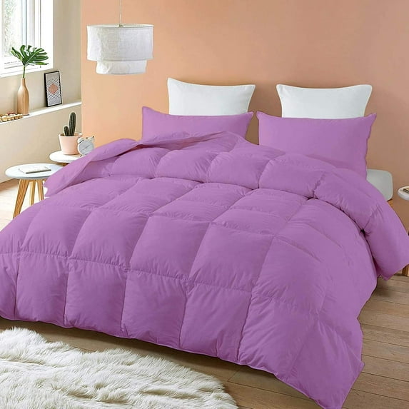 500-TC Egyptian Cotton All Season Comforter for Adults King-XL Size 98" x 116" Inches, 1pc Comforter Box Stitched with 4 Corner Tabs, 300 GSM Comforter, (Lilac)