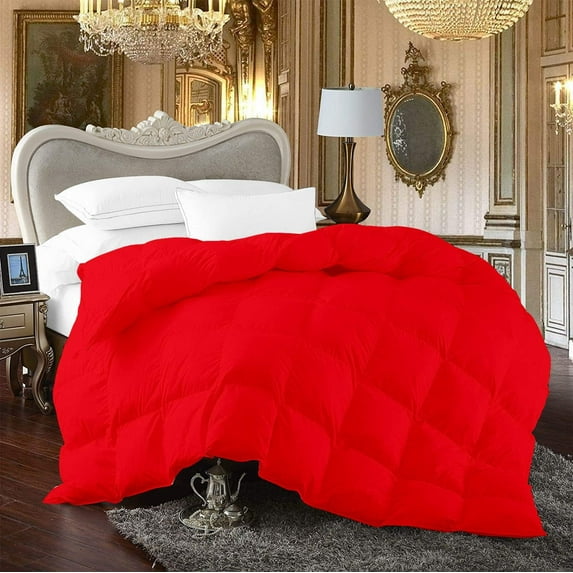 500-TC Egyptian Cotton All Season Comforter for Adults Oversized King Size 98" x 120" Inches, 1pc Comforter Box Stitched with 4 Corner Tabs, 300 GSM Comforter, (Red)