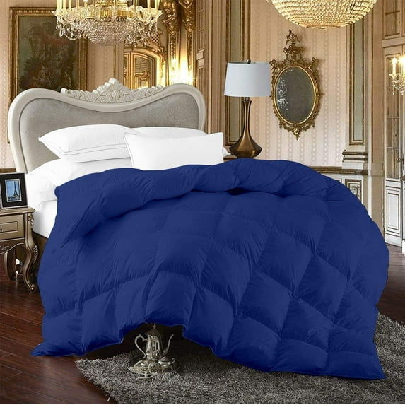 500-TC Egyptian Cotton All Season Comforter for Adults Super King Plus Size 120" x 120" Inches, 1pc Comforter Box Stitched with 4 Corner Tabs, 300 GSM Comforter, (Royal Blue)