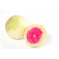 thumbnail image 1 of 500 Watermelon Radish Seeds - Non-GMO Heirloom Radish - Daikon Seeds, 1 of 1