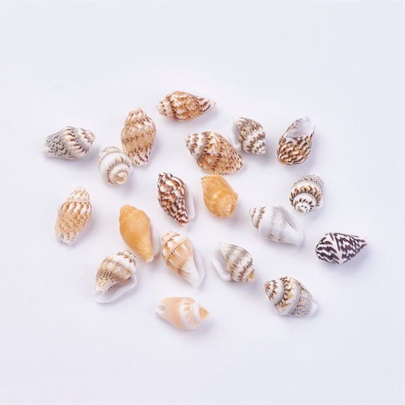 500 g Shell Beads 11~14x6~8mm Hole: 1mm about 1600~1700pcs/500g