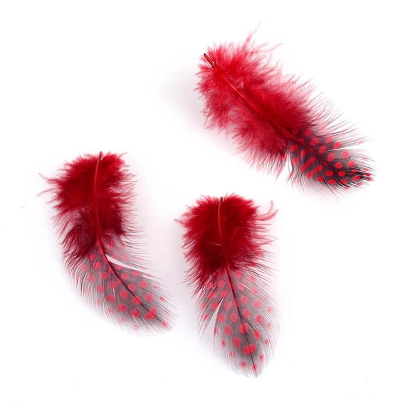500 pc Chicken Feather Costume Accessories Dyed Red 65~135x25~45mm