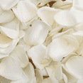 thumbnail image 1 of 5000 White Petals- Beautiful Fresh Cut Flowers- Express Delivery, 1 of 4