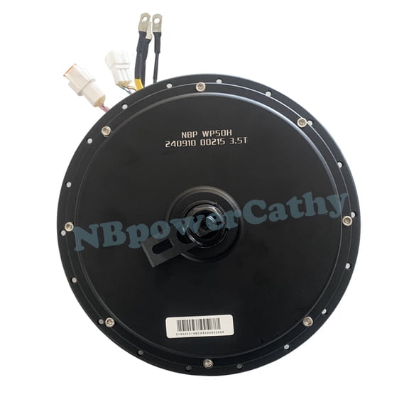 150mm Dropout 5000W QS 205 3.5T High Speed V3 Motor(50H) Electric Bike Brushless DC Hub Motor Only