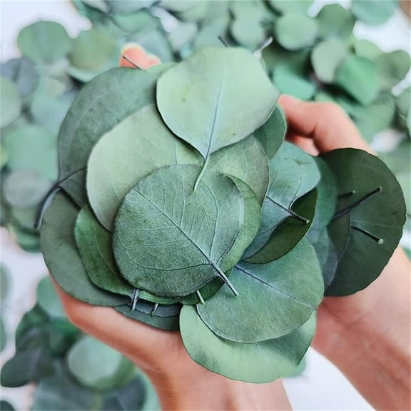 500Pcs Bulk Eucalyptus Leaves,Dried Eucalyptus Leaves,Natural Eucalyptus Leaves,Biodegradable Confetti for DIY Wreath,Party and Table Center Decor