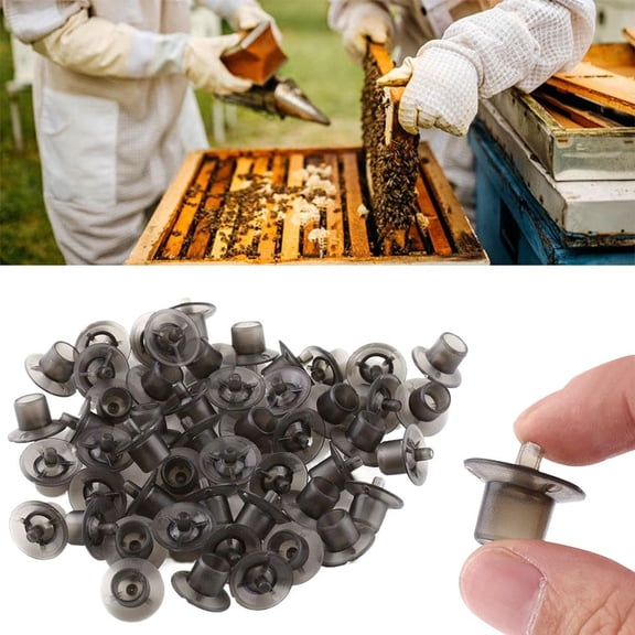 500Pcs Queen Bee Cell Cups Queen Rearing Plastic Cell Cups for Grafting Larvae Breeding High Accepted Beekeeping Farm Tool Supplies for Apiculture Beekeeper