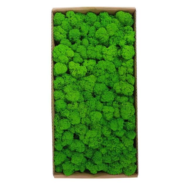 500g/200g Preserved fake Moss Wall Decoration No Maintenance Required