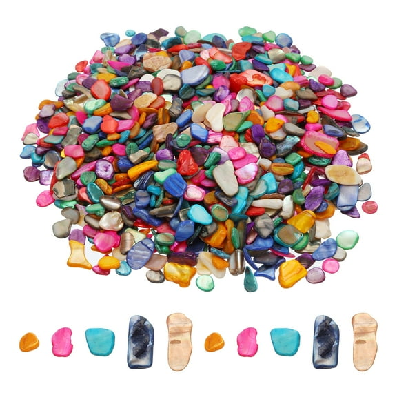 500g Crushed Shells Irregular Natural Mosaic Sea Shell Fragments for Home Decoration Art Crafts DIY Projects Multicolor