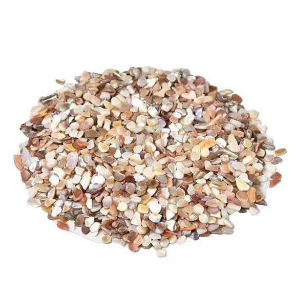 500g Crushed Shells Irregular Natural Sea Shell Fragments Home Decoration Art Crafts DIY for Aquarium, Flowerpot, Landscaping, Vase Fillers and Garden Decoration