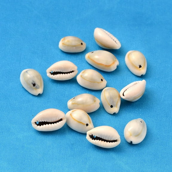 500g Natural Cowrie Shell Pendants Shell Shaped Charms Seashell Color 18~20x13~14x6~8mm Hole: 2mm 340pcs/500g