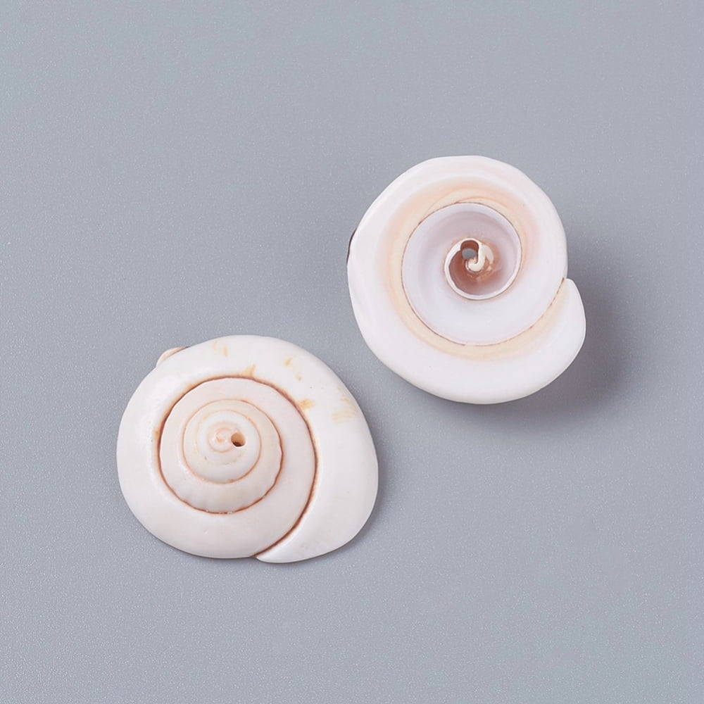 Shiva Shell Small 500g Natural Shiva Eye Shell Beads Shell Shape Seashell Color 20~23x18 ...