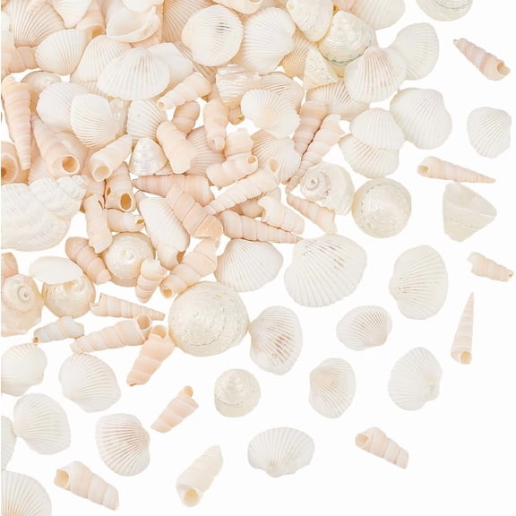 500gs Mixed Beach Seashells Sea Shells for Crafting 0.91"-3.54" Bulk Sea Shells Conch for Summer Crafts Fish Tank Vase Filler Wind Chime Candle Making Wedding Beach Party Home Decor