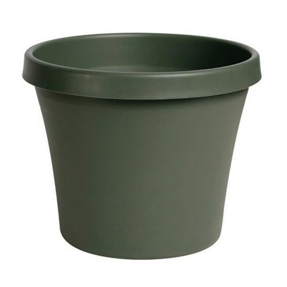 50406 6 6.7 in. Dia. 6.7 x 5.5 in. Resin Green Terrapot