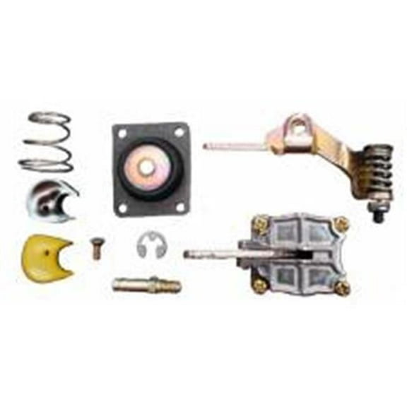 50CC Accelerator Pump Kit