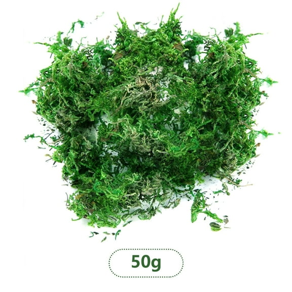 50G Moss Clearance! Moss Dry Moss Simulation Moss Moss Micro Landscape Flower Arrangement Accessories Fake Flower Shop Bonsai Potted Decoration Dark Green 50Gb, Fake Flowers Promotion Sale!
