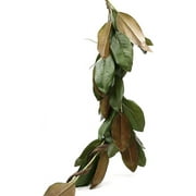 50In Long Artificial Magnolia Leaf , Ideal To Hang At Wedding, Store Display, Window Sill, Fall Decor, Perfect Holiday Décor