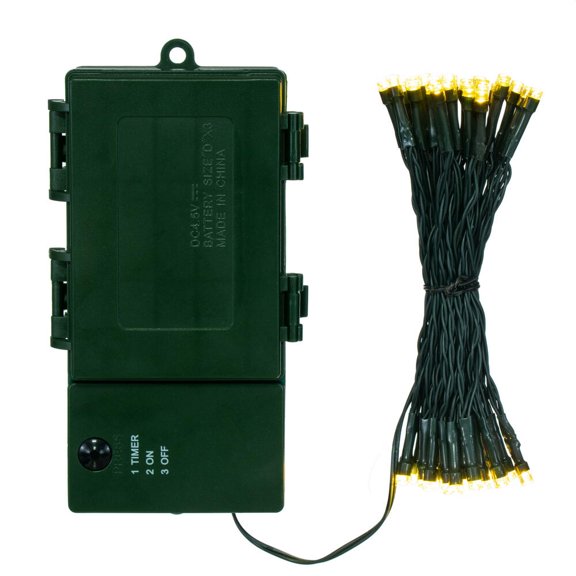 50L LED WW WA D-Battery 6Hr Timer Set 5"