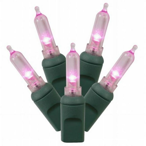 50Lt LED Pink/GW Italian Ec 6''x25'L
