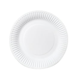 White Plastic Plates 100 Count Disposable Plastic Plates Microwave Safe Perfect for Birthday Parties Weddings Banquets Picnics and Everyday Use Walmart