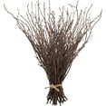 thumbnail image 1 of 50PCS Birch Twigs – 17 Inch Natural Dried Plants Decorative Birch Branches for DIY Crafts, Birch Sticks for Vases Wedding Arrangements Home Wreath Decor A, 1 of 4