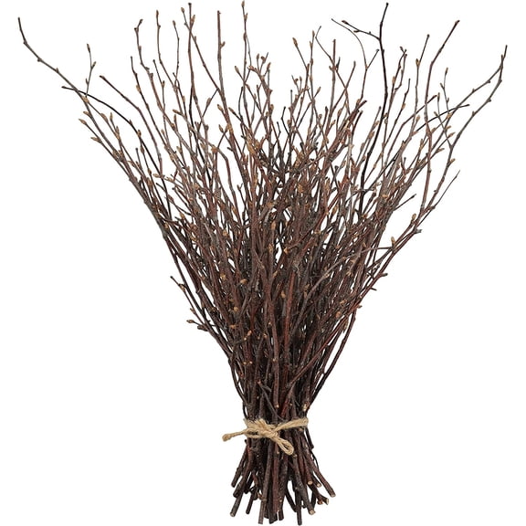 50PCS Birch Twigs – 17 Inch Natural Dried Plants Decorative Birch Branches for DIY Crafts, Birch Sticks for Vases Wedding Arrangements Home Wreath Decor A