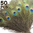 thumbnail image 1 of 50PCS Peacock Feathers 10-12in, Peacock Craft Feathers for DIY Crafts Wedding Carnival Mardi Gras Party Home Decorations, 1 of 7