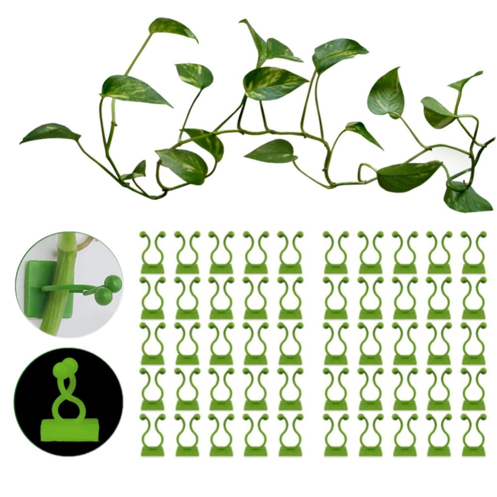 PSOWQ 50 Pièces Mur De Fixation Pour Plantes Grimpantes, Clips D'escalade Pour Mur De Plantes à Feuilles Autocollantes Invisibles Pour Fixation De Câbles, Clips Muraux Pour Plantes - Papillon