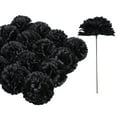 50Pcs Black Carnations Artificial Flowers, Fake Carnations Bulk perfect
