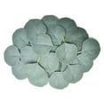 thumbnail image 1 of 50Pcs Bulk Eucalyptus Leaves Artificial Greenery Fake Green Leaves for DIY Wreath Wedding Boutonnieres Corsages Baby Shower Cake Flower Decorations, 1 of 8
