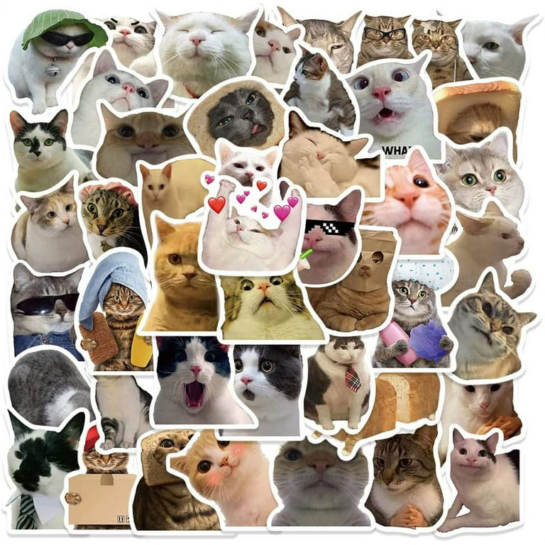 50Pcs Cat Stickers Pack Cute Kawaii Funny for Cat Lovers Teens Kids Water  Bottle Cars Adults Laptop