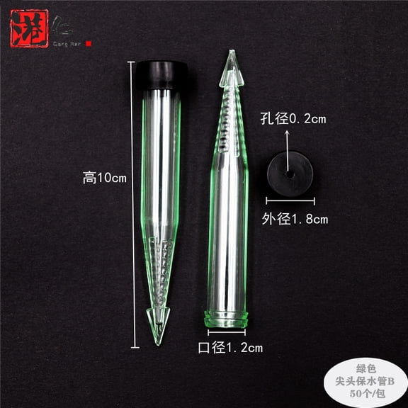 50Pcs Clear Plastic Flower Tubes Pointed Floral Vials Reusable Plastic Flower Stem Water Tubes Floral Arrangement Supplies for Fresh Flowers