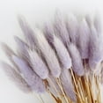 thumbnail image 1 of 50Pcs Dried Pampas Grass Eternal Flower,Dried Rabbit Tail Grass for Wedding Bouquets Decoration,17.7inch, 1 of 7