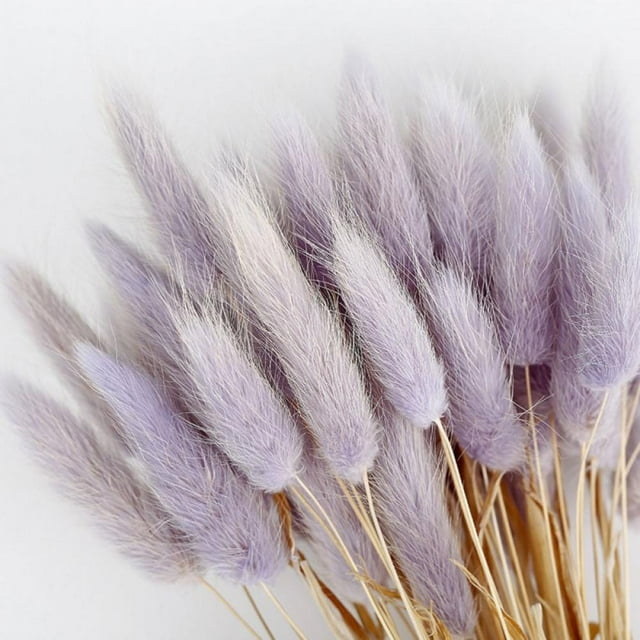 50Pcs Dried Pampas Grass Eternal Flower,Dried Rabbit Tail Grass for Wedding Bouquets Decoration,17.7inch