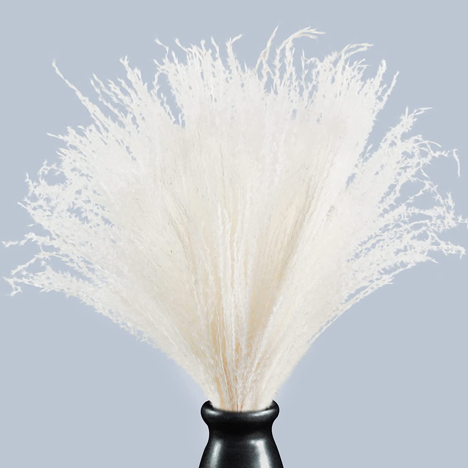 50Pcs Dried Pampas Grass Large Reed Plumes Natural Dried Flower Plants Phragmites Communis Bouquets Stems for Home Wedding Arrangements Vase Wreath Farmhouse Décor 17 Inch