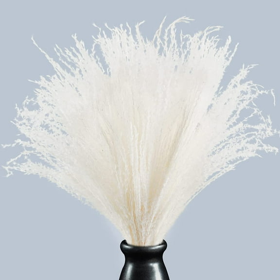 50Pcs Dried Pampas Grass Large Reed Plumes Natural Dried Flower Plants Phragmites Communis Bouquets Stems for Home Wedding Arrangements Vase Wreath Farmhouse Décor 17 Inch