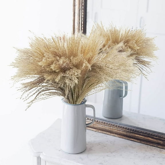 50Pcs Dried Pampas Grass Large Reed Plumes Natural Dried Flower Plants Phragmites Communis Bouquets Stems for Home Wedding Arrangements Vase Wreath Farmhouse Décor 17 Inch A