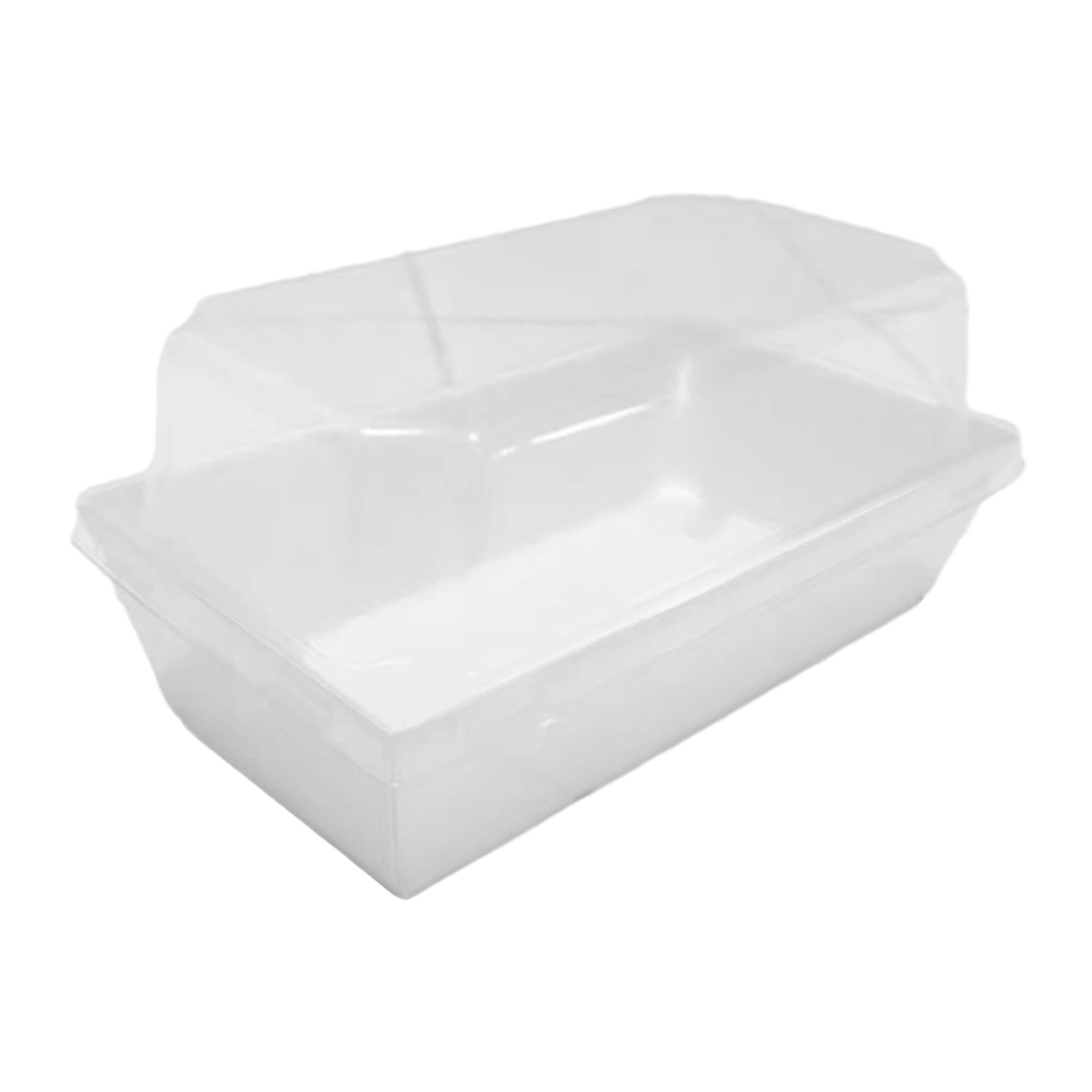 50Pcs Food Boxes Packaging Box with Clear Lid Rectangle Disposable