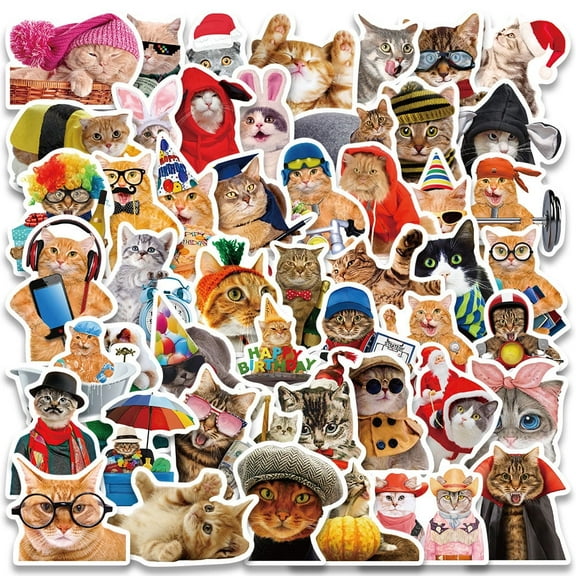50Pcs Funny Cat Stickers Cute Cat Stickers Vinyl Waterproof Stickers for Water Bottles Scrapbooks Laptop Skateboards