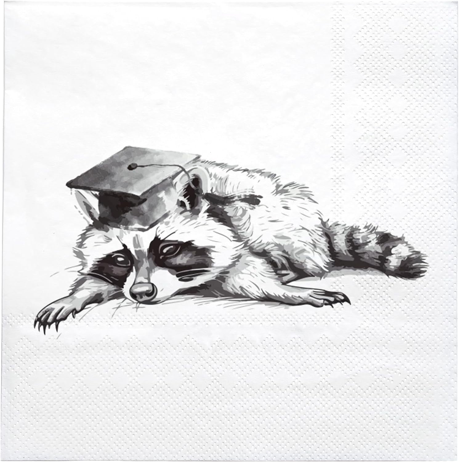 50Pcs Funny Graduation Party Paper Napkins, Funny Raccoon Graduation ...