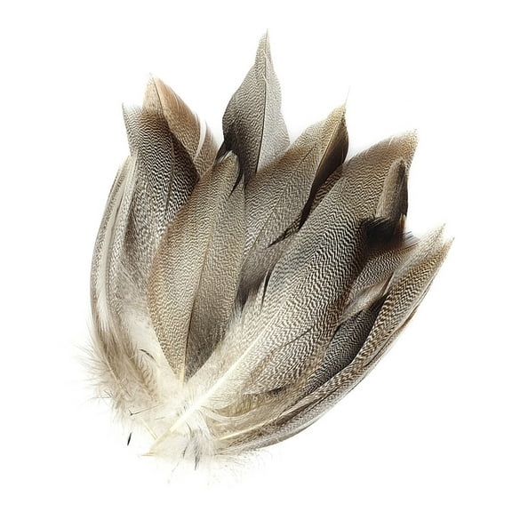 50Pcs Mallard Wing 4-12cm for Craft Halloween Wedding Decoration Clothing Embellishment Fly Tying Supplies