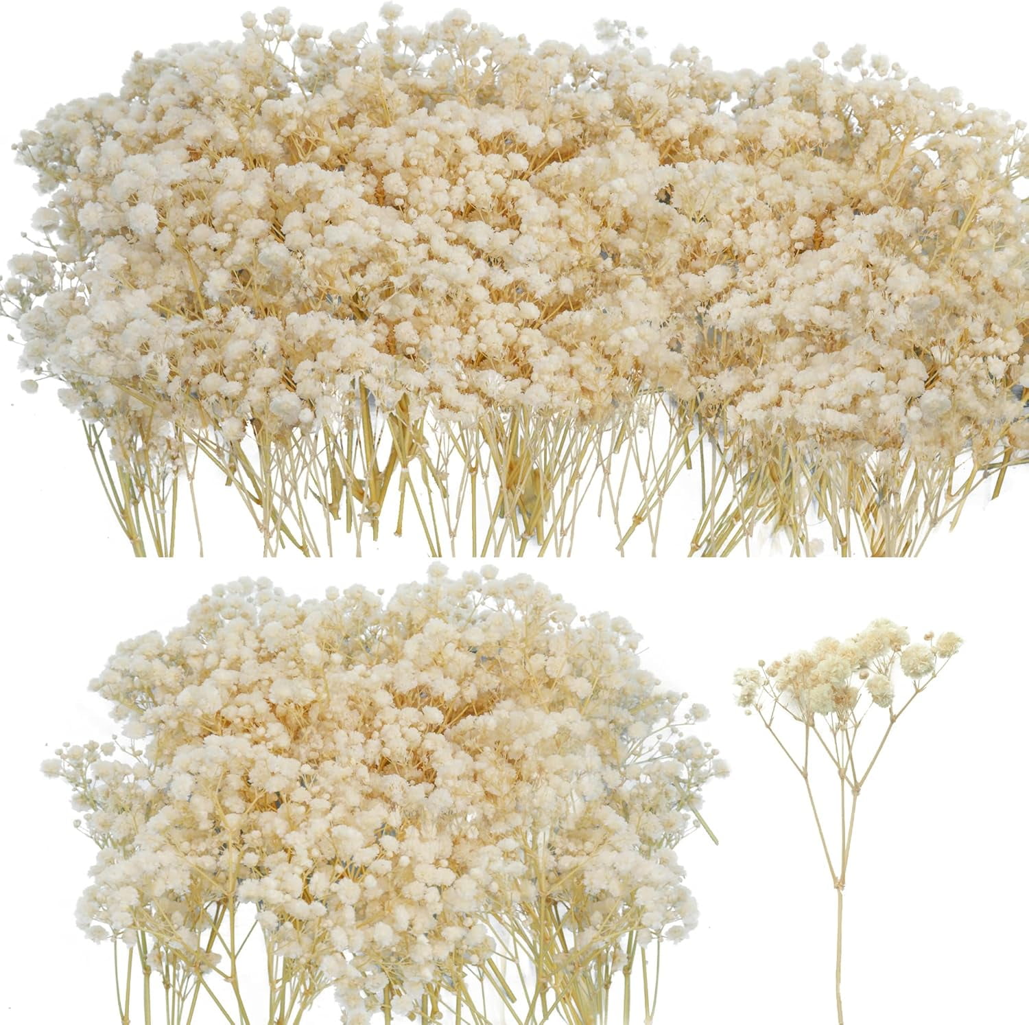 50Pcs Mini Dried Baby's Breath Flowers for Resin Art Craft DIY, 3000+ Natural Ivory White Bulk Flowers, Pressed Gypsophila Bouquet Present for Valentine's Day, Wedding Wreath, Card Making, Home Decor