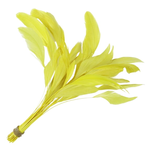50Pcs Natural Craft Quills 4-6Inch Colored Quills For Jewelry Making Costume Embellishment And Wedding Decoration