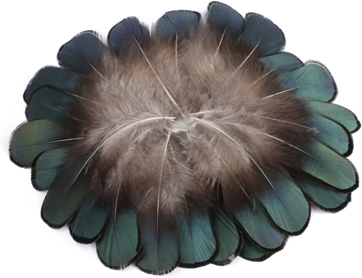 50pcs Natural Pheasant Feathers, Assorted Craft Feathers For Diy 