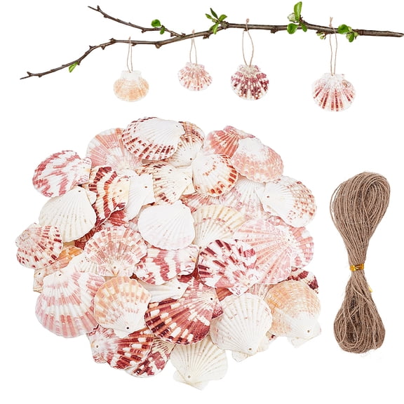 50Pcs Natural Sea Shells Seashells Hanging Ornaments with Rope Natural Shells Decorations