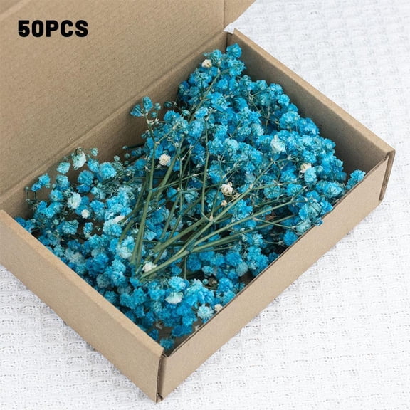50Pcs Real Preserved Baby's Breath Flowers, Mini White Gypsophila Dried Bouquets for DIY Resin, Wedding Decor, Scrapbook & Gift Wrapping