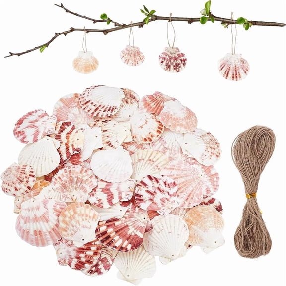 50Pcs Shell Hanging Ornaments with 2 Bundles Jute Cord Mixed Color 40.5~50.5x39.5~51x3.5~4.5mm